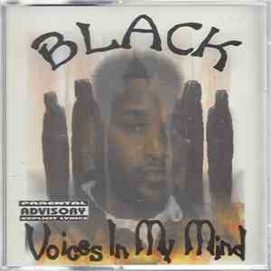 Black - Voices In My Mind