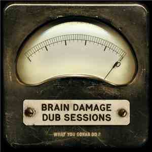 Brain Damage Dub Sessions - What You Gonna Do ?