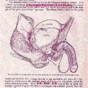 endometrium cuntplow - UK Sac EP