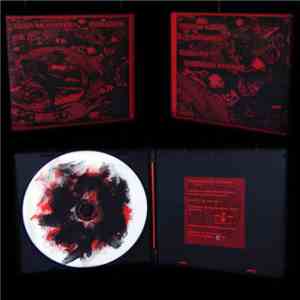 Zebulon Kosted / Paregorik - Zebulon Kosted / Paregorik