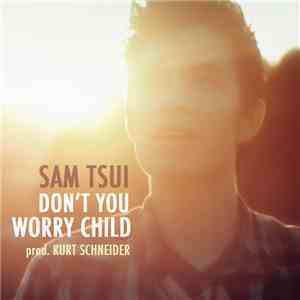 Sam Tsui - Don't You Worry Child