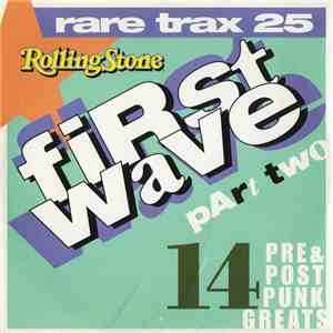 Various - Rare Trax Vol. 25 - First Wave Part Two - 14 Pre & Post Punk Grea ...