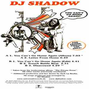 DJ Shadow - You Can’t Go Home Again!