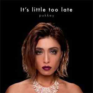 Pukkey - It's Little Too Late
