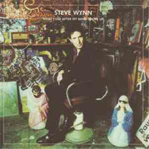 Steve Wynn - What I Did After My Band Broke Up (Best Of 1990-2004) / Visita ...