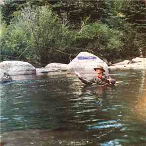 David Lutken - Fish Stories