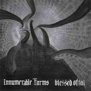 Innumerable Forms / Blessed Offal - Innumerable Forms / Blessed Offal