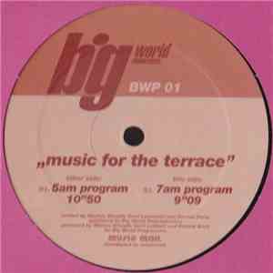 Markus Binapfl - Music For The Terrace