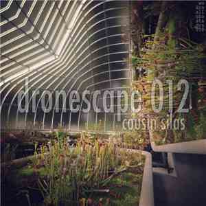 Cousin Silas - Dronescape 012