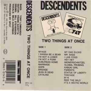 Descendents - Two Things At Once