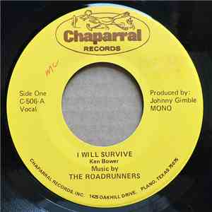 The Roadrunners  - I Will Survive