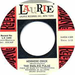 Endless Pulse - Nowhere Chick / Wake Me Shake Me