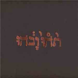 Godspeed You Black Emperor! - Slow Riot For New Zero Kanada E.P.