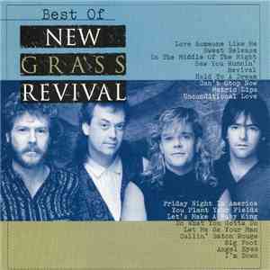 New Grass Revival - Best Of New Grass Revival
