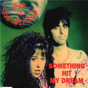 Pop in Wonderland - Something Hit My Dream