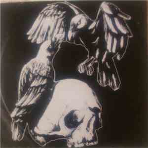 Crows  - Demo