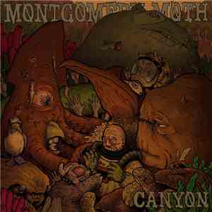 Montgomery Moth - Canyon E.P.
