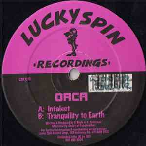 Orca - Intalect