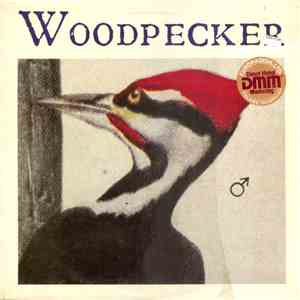 Woodpecker - Woodpecker