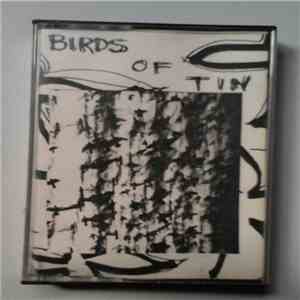 Birds Of Tin  - Same Both Sides