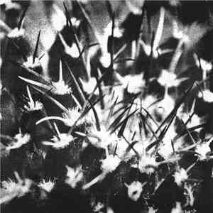 Andrea Belfi - Cera Persa