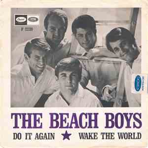 The Beach Boys - Do It Again / Wake The World