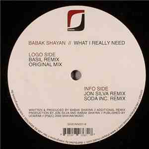 Babak Shayan - What I Really Need