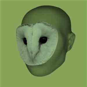 Birdmask - Howling Foxes