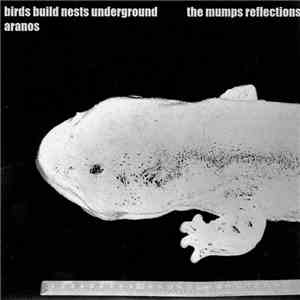 Birds Build Nests Underground & Aranos - The Mumps Reflections