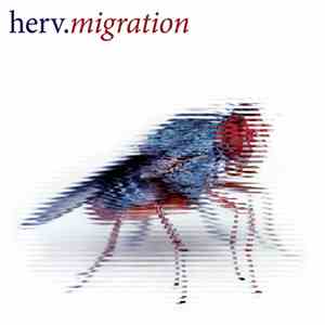 Herv - Migration