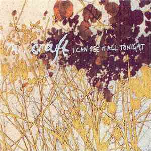 M.Craft - I Can See It All Tonight