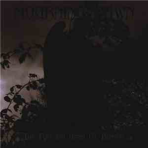 Mourning Dawn - The Freezing Hand Of Reason