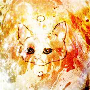 Rainbow Prophet Cat - Rainbow Prophet Cat Vs False Flag