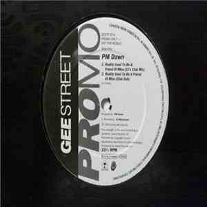 P.M. Dawn - Reality Used To Be A Friend Of Mine