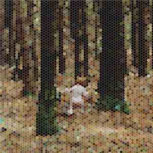 Principles Of Geometry Starring Sébastien Tellier - A Mountain For Presiden ...