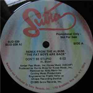Fat Boys - Don't Be Stupid (Remix)