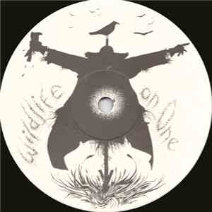 Holy Ghost Inc. - Wildlife On One