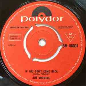 The Voomins - If You Don't Come Back