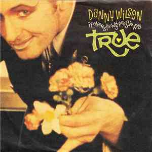 Danny Wilson  - If Everything You Said Was True