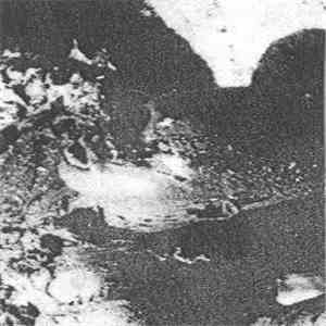 Chains Of Death Command - Chains Of Death Command