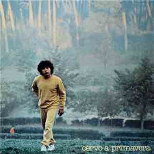Riccardo Cocciante - Cervo A Primavera