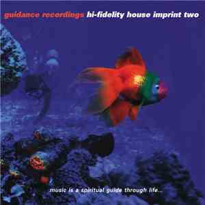 Various - Hi-Fidelity House Imprint Two