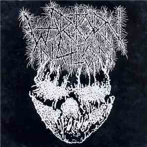 Wartorn Nation / Evol - Wartorn Nation / Evol