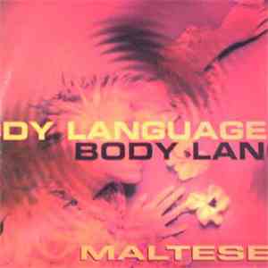 Maltese - Body Language
