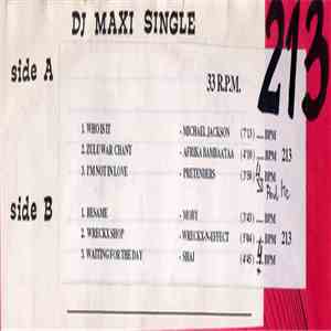 Various - DJ Maxi Single 213