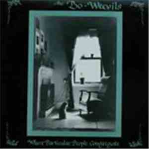 The Bo-Weevils - Where Particular People Congregate