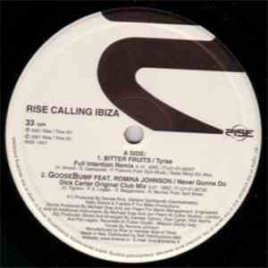 Various - Rise Calling Ibiza Sessione 2