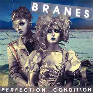 Branes - Perfection Condition