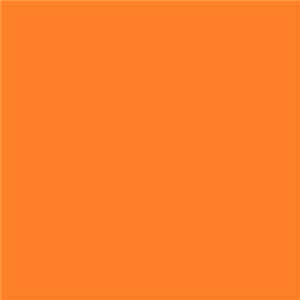 Life Waster - The Orange Demos