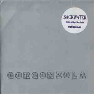 Backwater - In These Last Days / Hot Rhythm